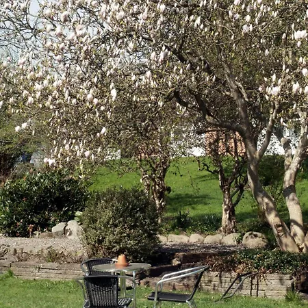 Purhus Мини-отель 3*