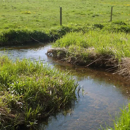 Мини-отель Purhus 3*